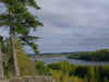 tred.jpg (43716 byte)